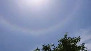 やっほう