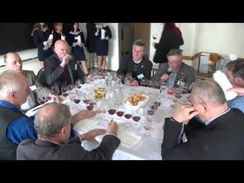 Az egész magyar szőlő- és borágazat előnyére válik, hogy Frittmann János lett a HNT elnöke