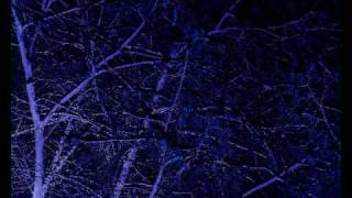 The Caretaker - a stairway to the stars