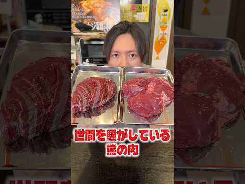 世間を騒がしている熊の肉。実際、美味しいのか料理研究家が検証します！ #shorts #リュウジ #熊肉 #料理 #レシピ #検証 #検証動画