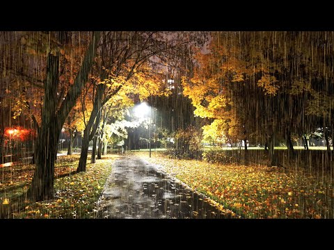 Padający deszcz w lesie. Deszcz do spania. Padajacy deszcz dźwięk do snu dla niemowląt.