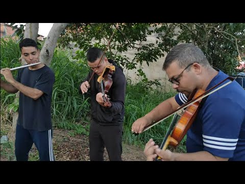 CCB hino 134 pegada de cordas FLOREADO INSANO