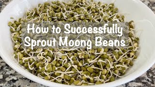 How to Sprout Moong Beans | Sprouting Mung Beans | How to Sprout Beans