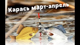 Где хорошо ловить карася в москве