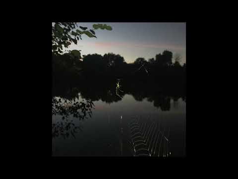 Video thumbnail for Cellar Door