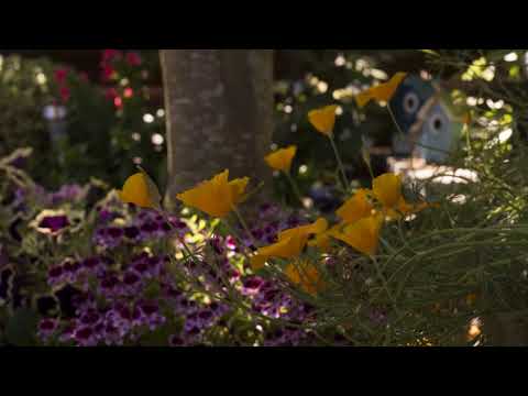 Time lapse slaapmuts ...