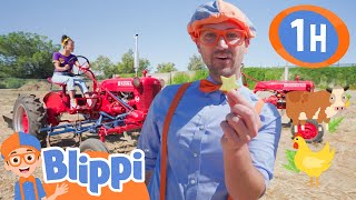 Blippi & Meekah Explore the California Agriculture Museum! | Blippi & Meekah | Kids TV Shows