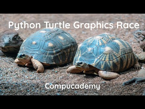 Python Turtle Graphics Turtle Race Program