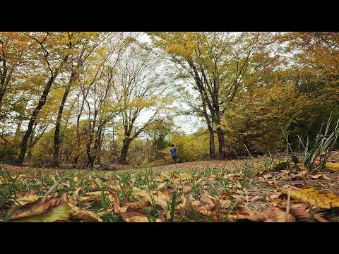 Plimbare de toamna prin Aghires si Cuzaplac