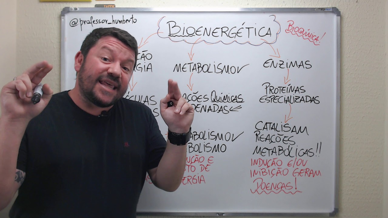 bioquímica#01 Bioenergética: você sabe o que é