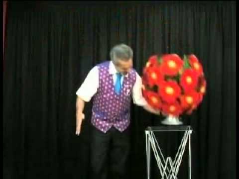 Super Botania #18 - Tora Magic - www.MJMMagic.com