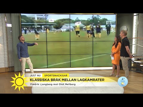 Axel Pileby: Han springer åt fel håll! - Nyhetsmorgon (TV4)