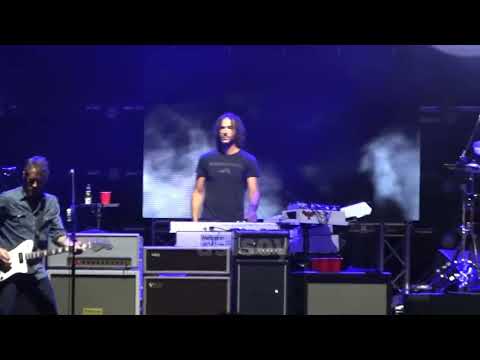 Foo Fighter en Monterrey / Corona Session 