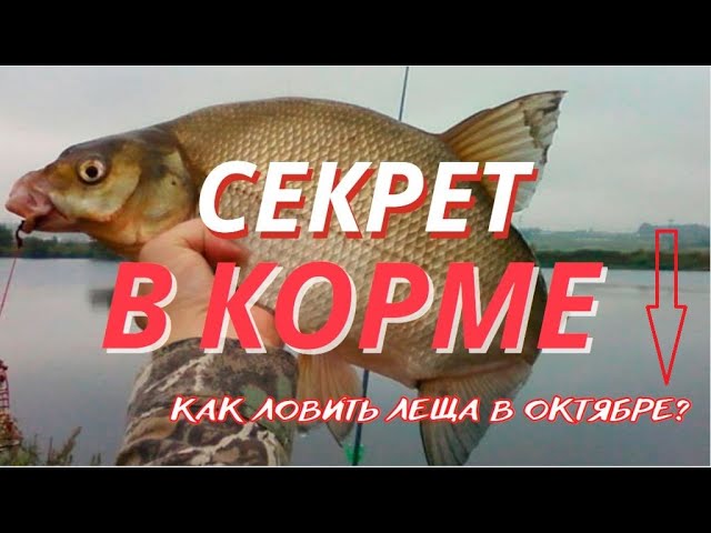 Как ловить на фидер в октябре. Фидерная кормушка с крючками. Как ловить на фидер в октябре. Оснастка на леща на фидер с кормушкой. Как ловить на фидер в октябре.