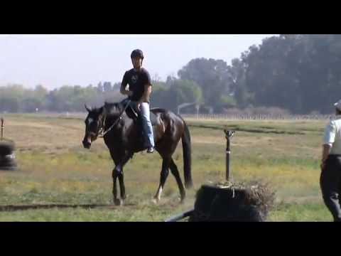 Turffontein night racing preview