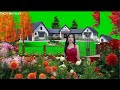 Phool Phool Pe Bani Teri Tasveer Status Video Whatsapp Status Video Shorts Video Dk24 Zee