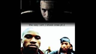 the way i shook ones (eminem vs mobb deep)