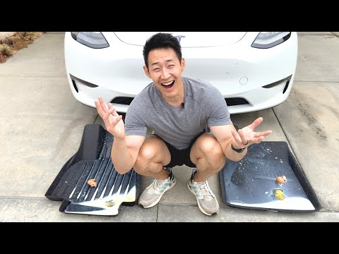 BEST Tesla Floor Mats Put to the TEST (Tesmanian vs 3d Maxpider)