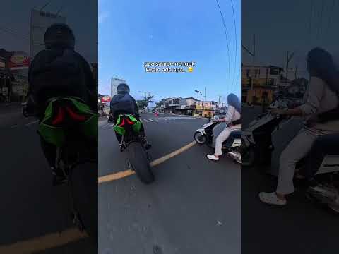 CEWEK NGEJAR ZX GOKIL