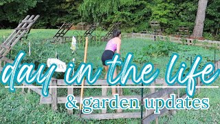 DAY IN THE LIFE & GARDEN UPDATES