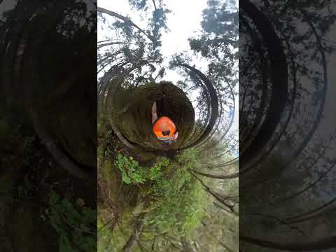 Dry tooling mossy rock @ corral de piedra