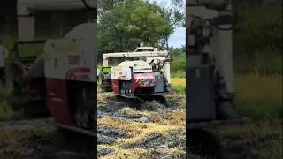 Download lagu මෙන්න කැපිලි නම් කැපිලි #automobile #farmer#shorts #shortsfeed #trending #viral #video #viralposts mp3