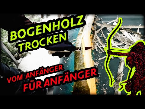 Bogenholz vorbereitung zur Trocknung. Vom Anfänger für Anfänger