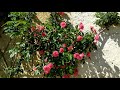 video RwDZ9qDwC04