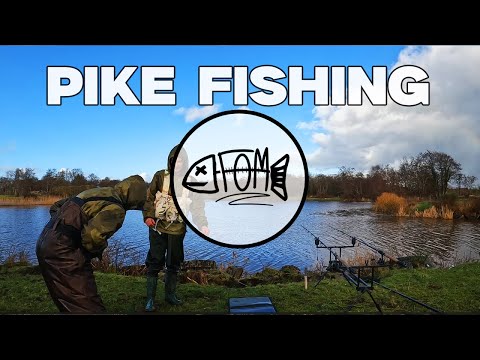 Hunting for Big Pike in Ireland! | How to Catch Pike Using Deadbait