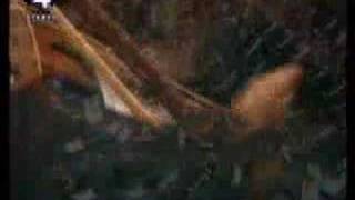 Ennio Morricone - "Love Theme" - from "Cinema Paradiso"