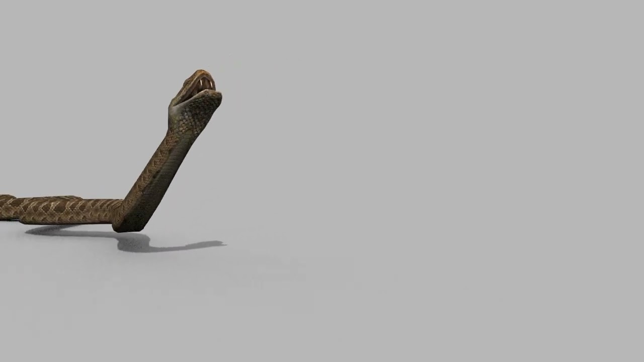 Pro Rattlesnake Snake - 8k - 3d animated 3D Model