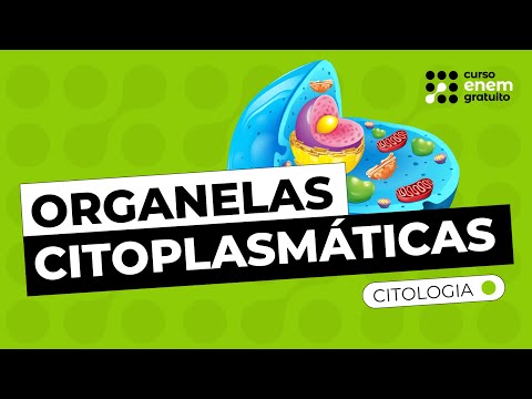 ORGANELAS CITOPLASMÁTICAS (CITOLOGIA) | Resumo de Biologia para o Enem