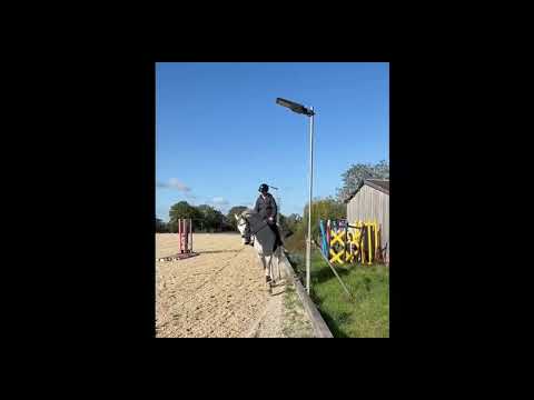 Santa Tops Flatwork