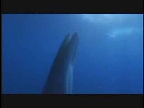 Count Bass D "August 25, 2001"