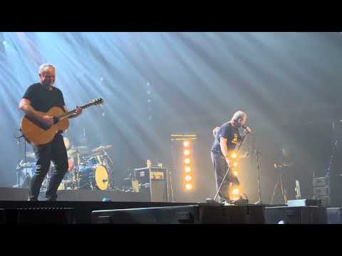 Racoon - Nickel for Goodbye (live@HIER2023)