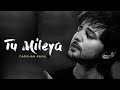 Tu Mileya ( LoFi Remix ) | Rahul Lofi | Darshan Raval, Lijo George | Lyrics Video