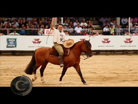 Bocal de Ouro Machos 2017 -  Harmonia Ultimato