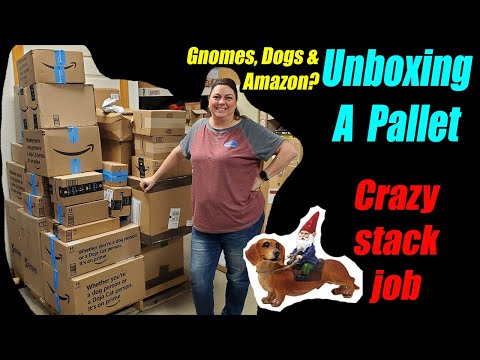 Unboxing the Craziest Stacked Pallet Ever - Dogs Gnomes & Amazon - Weekly specials and more!!!