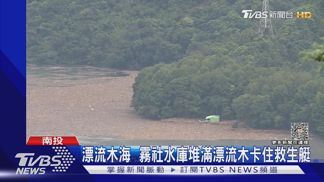 漂流木海 霧社水庫堆滿漂流木卡住救生艇
