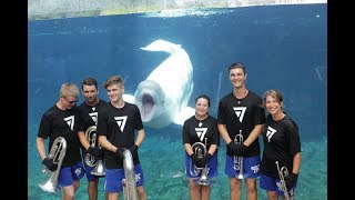 7th Regiment Small Brass Ensemble Performs For Beluga Whale