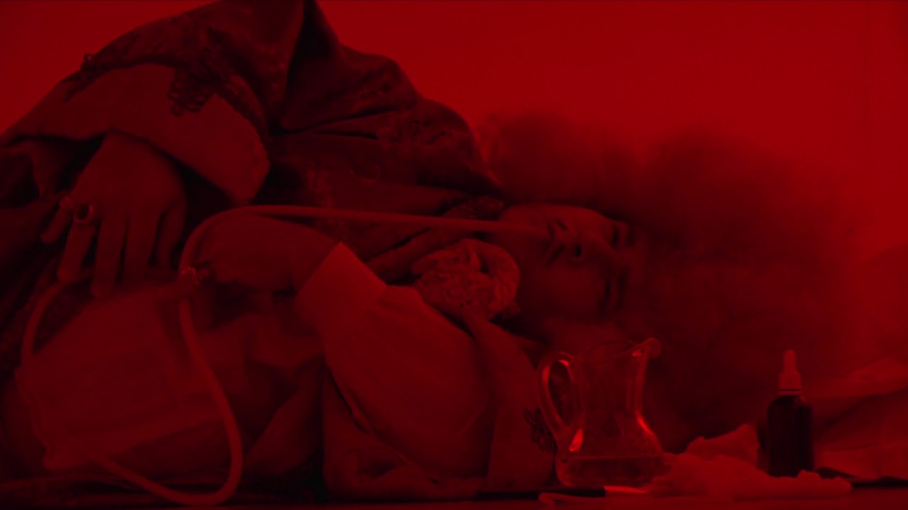 Roi Soleil by Albert Serra (Trailer)