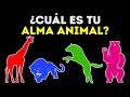 ¿Cuál es el animal de tu alma? Un test de personalidad genial