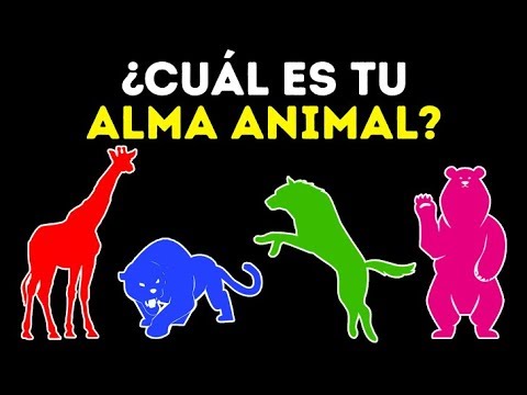 download lagu mp3 mp4 A De Animal Mi Alma, download mp3 A De Animal Mi Alma free downloadn, video klip A De Animal Mi Alma
