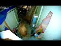 Ring Doorbell Camera Captures Two Black Bears Fighting Each Other In Woman S Garage