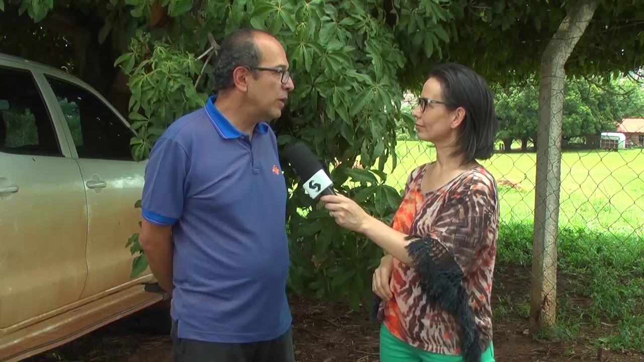 Uso de Pó de Rocha - Embrapa