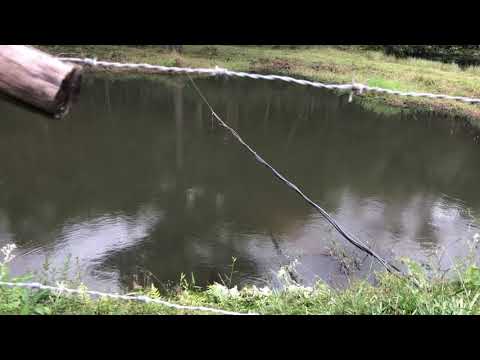 Teste 3 - Bomba Solar Singflo - Neosolar