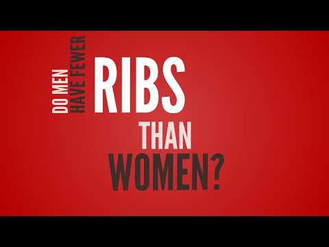 download lagu mp3 mp4 Who Has More Ribs, download lagu Who Has More Ribs gratis, unduh video klip Who Has More Ribs