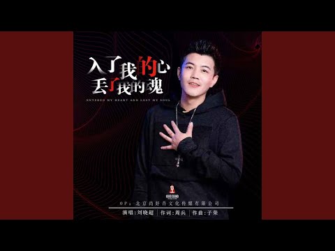 入了我的心丢了我的魂