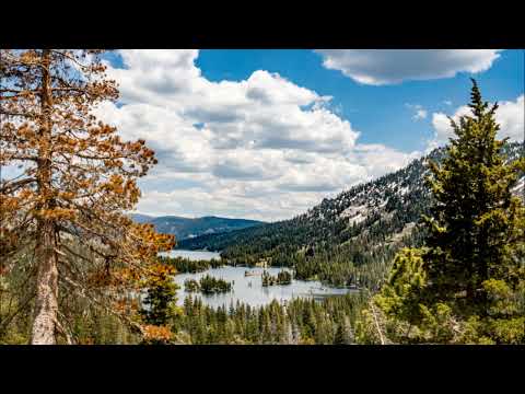 Furkan Senol - Reverie (Future Garage Mix)