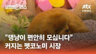 유튜브 썸네일